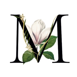 Indian Magnolia Media